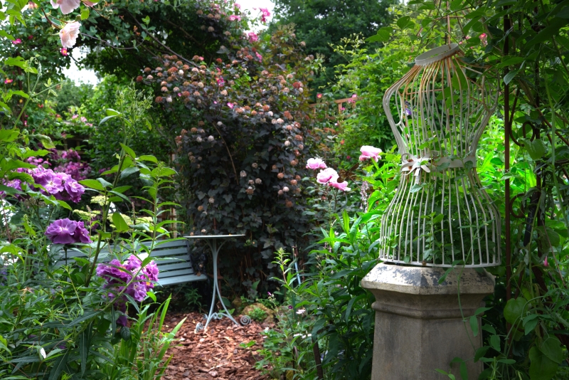 Foxglove Cottage